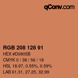 Color code: RGB 208 128 91 | qconv.com