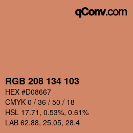 Color code: RGB 208 134 103 | qconv.com