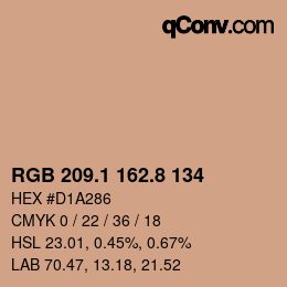 Color code: RGB 209.1 162.8 134 | qconv.com
