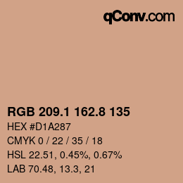 カラーコード: RGB 209.1 162.8 135 | qconv.com