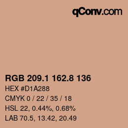 Color code: RGB 209.1 162.8 136 | qconv.com