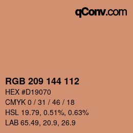 Color code: RGB 209 144 112 | qconv.com