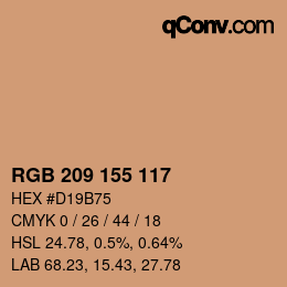 Color code: RGB 209 155 117 | qconv.com