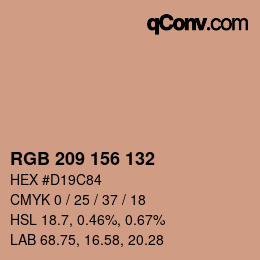 Color code: RGB 209 156 132 | qconv.com