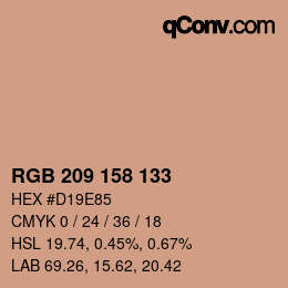 颜色代码: RGB 209 158 133 | qconv.com