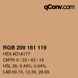 Color code: RGB 209 161 119 | qconv.com