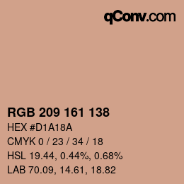 Color code: RGB 209 161 138 | qconv.com