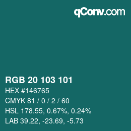 Color code: RGB 20 103 101 | qconv.com