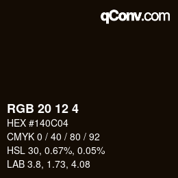 Color code: RGB 20 12 4 | qconv.com