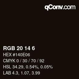颜色代码: RGB 20 14 6 | qconv.com