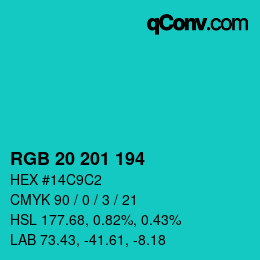 Color code: RGB 20 201 194 | qconv.com