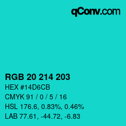 Color code: RGB 20 214 203 | qconv.com