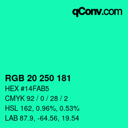 カラーコード: RGB 20 250 181 | qconv.com