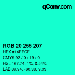 Color code: RGB 20 255 207 | qconv.com