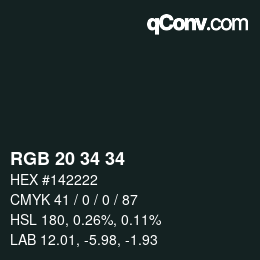颜色代码: RGB 20 34 34 | qconv.com