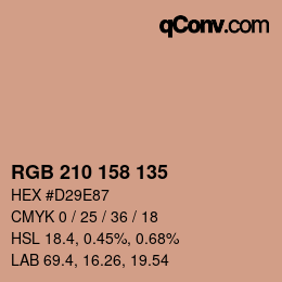 Color code: RGB 210 158 135 | qconv.com