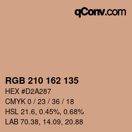 Color code: RGB 210 162 135 | qconv.com