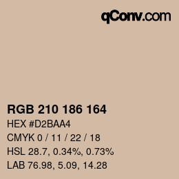 Código de color: RGB 210 186 164 | qconv.com