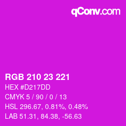 Color code: RGB 210 23 221 | qconv.com