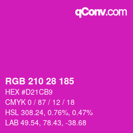 Color code: RGB 210 28 185 | qconv.com