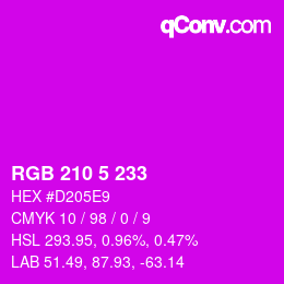 Color code: RGB 210 5 233 | qconv.com