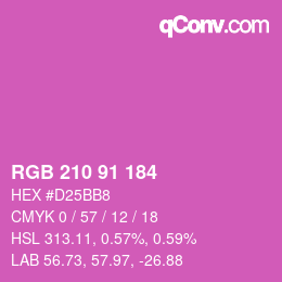 Color code: RGB 210 91 184 | qconv.com