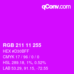 Color code: RGB 211 11 255 | qconv.com