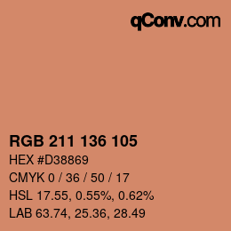 Color code: RGB 211 136 105 | qconv.com