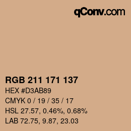 Código de color: RGB 211 171 137 | qconv.com