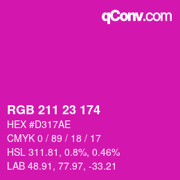 Color code: RGB 211 23 174 | qconv.com