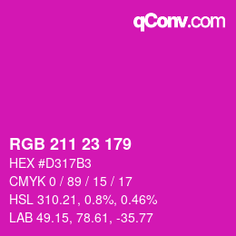 Color code: RGB 211 23 179 | qconv.com