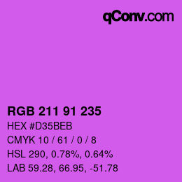 Color code: RGB 211 91 235 | qconv.com