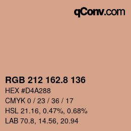 Color code: RGB 212 162.8 136 | qconv.com