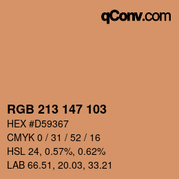 Color code: RGB 213 147 103 | qconv.com