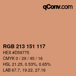 Color code: RGB 213 151 117 | qconv.com