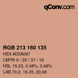 Color code: RGB 213 160 135 | qconv.com