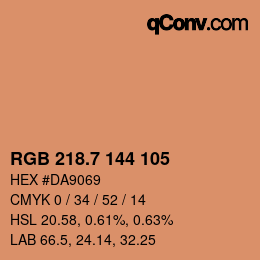 カラーコード: RGB 218.7 144 105 | qconv.com