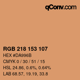 颜色代码: RGB 218 153 107 | qconv.com