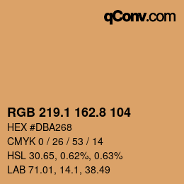 Color code: RGB 219.1 162.8 104 | qconv.com