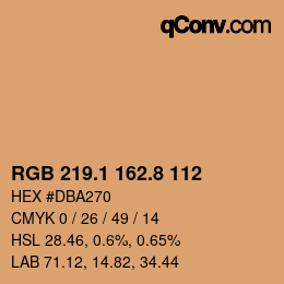 Color code: RGB 219.1 162.8 112 | qconv.com