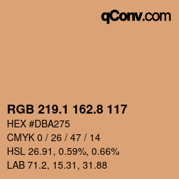 Farbcode: RGB 219.1 162.8 117 | qconv.com