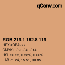 Color code: RGB 219.1 162.8 119 | qconv.com