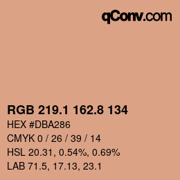 Color code: RGB 219.1 162.8 134 | qconv.com