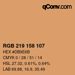 Color code: RGB 219 158 107 | qconv.com