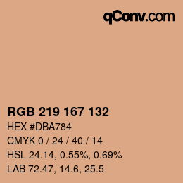 Color code: RGB 219 167 132 | qconv.com