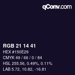 Color code: RGB 21 14 41 | qconv.com