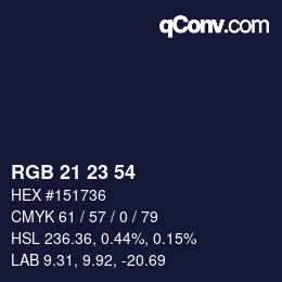 Color code: RGB 21 23 54 | qconv.com