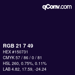 Color code: RGB 21 7 49 | qconv.com