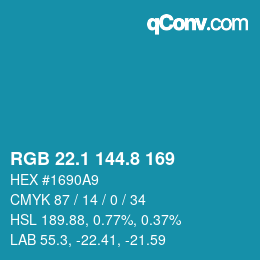 Color code: RGB 22.1 144.8 169 | qconv.com