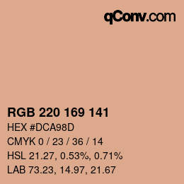 Color code: RGB 220 169 141 | qconv.com